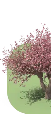 plantation